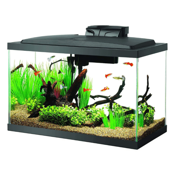 Aqueon Aquarium Fish Tank Starter Kit