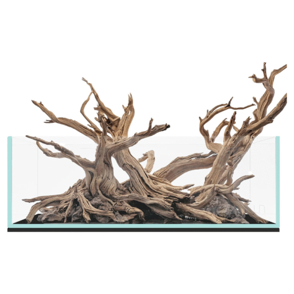 Ultum Nature Systems Ultra Clear Rimless Aquarium